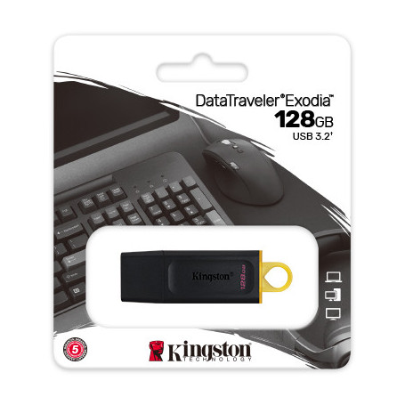 Clé USB 128 Go KINGSTON 3.2 DTX